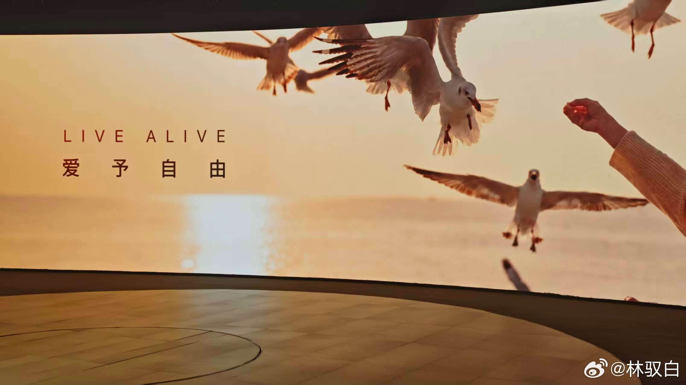 品牌主张——LIVE ALIVE，爱予自由，感觉有点年轻化的表达感6月9日赛豆科