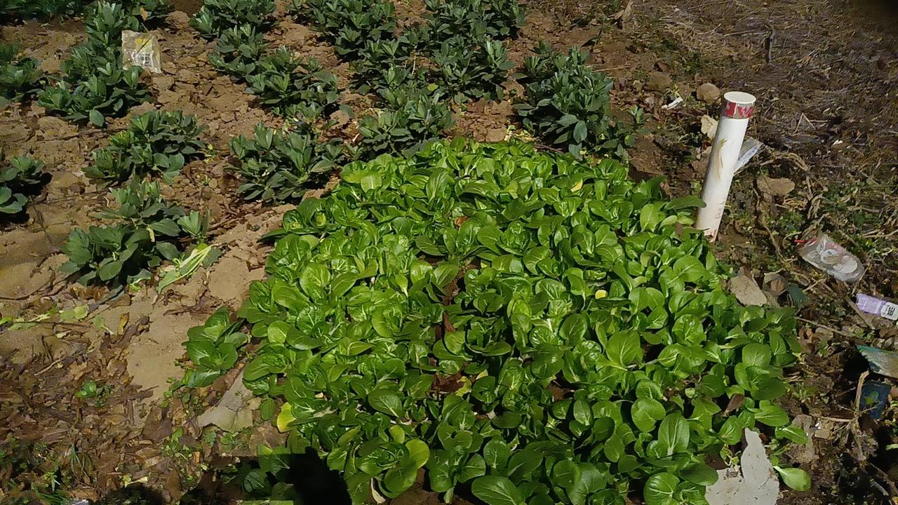 以下是一篇关于“上头条聊热”的爆款文章，旨在用轻松、犀利的笔触，激发读者的共鸣与