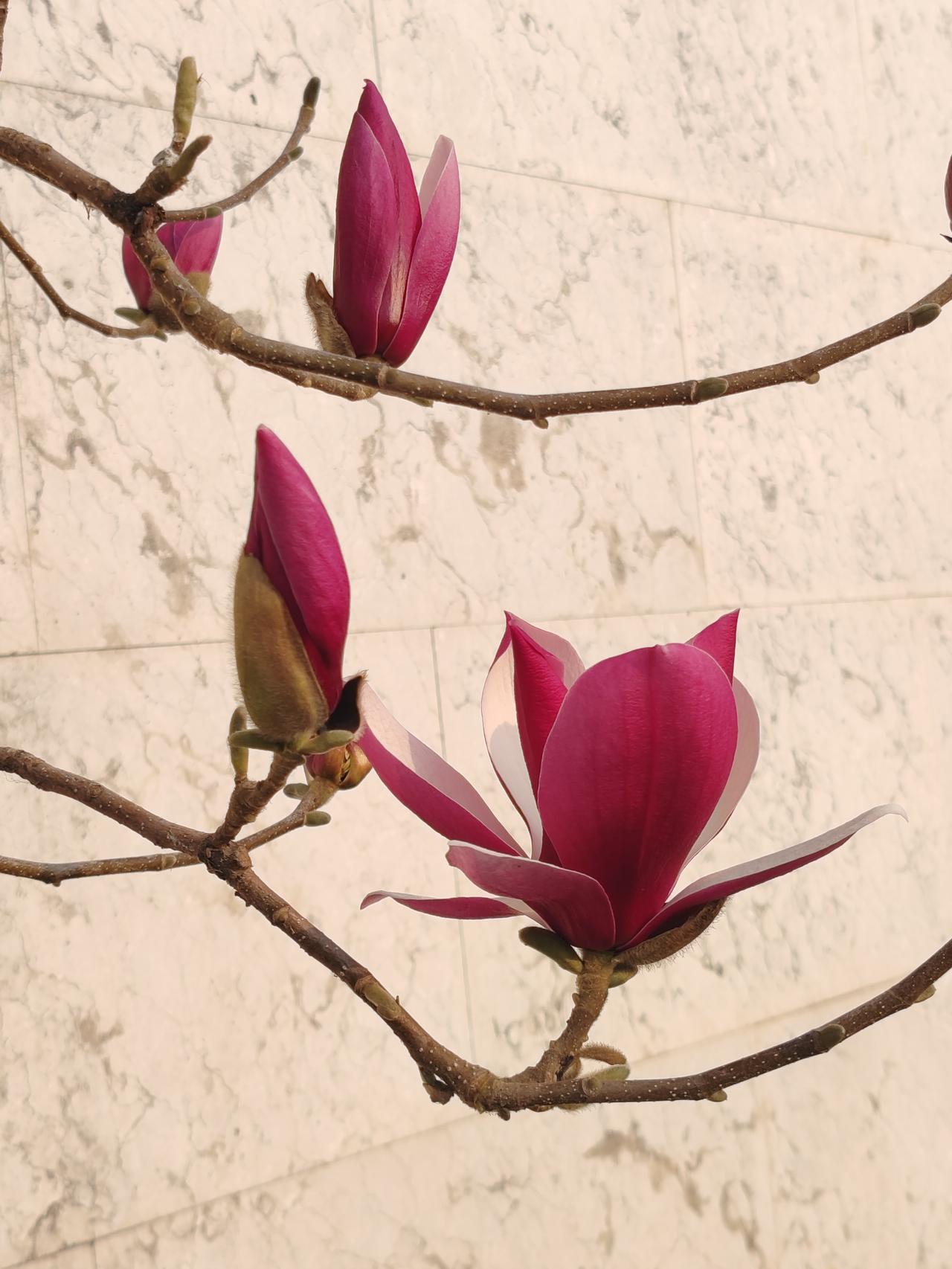 住孩家也好，自己单住也好，住养老院也好。只要孩子大人都觉得好就好。幸福生活就来自