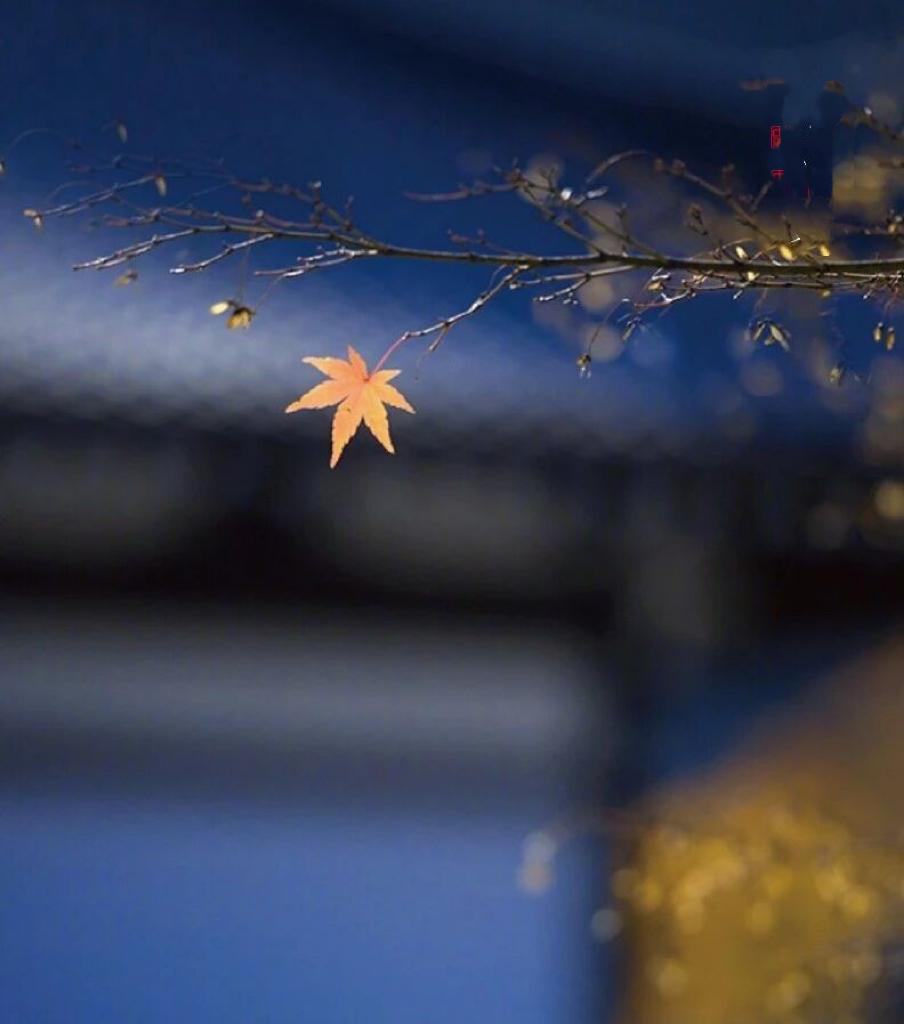 秋分吟……