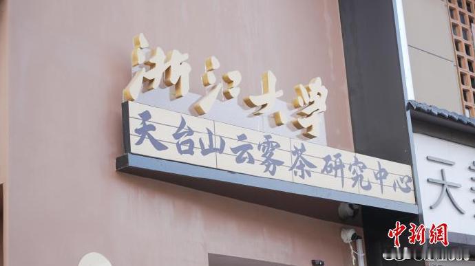 台州天台用工业思维重新定义一杯茶 茶园10.3万亩、全产业链12亿元——天台用“