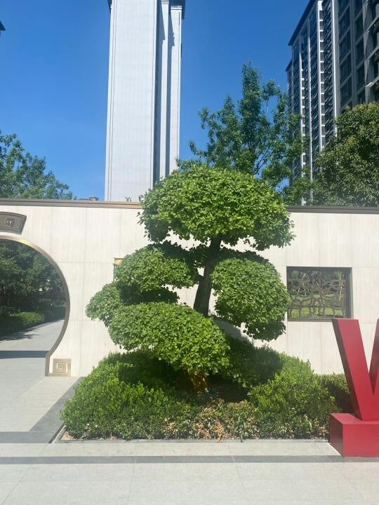园林景观