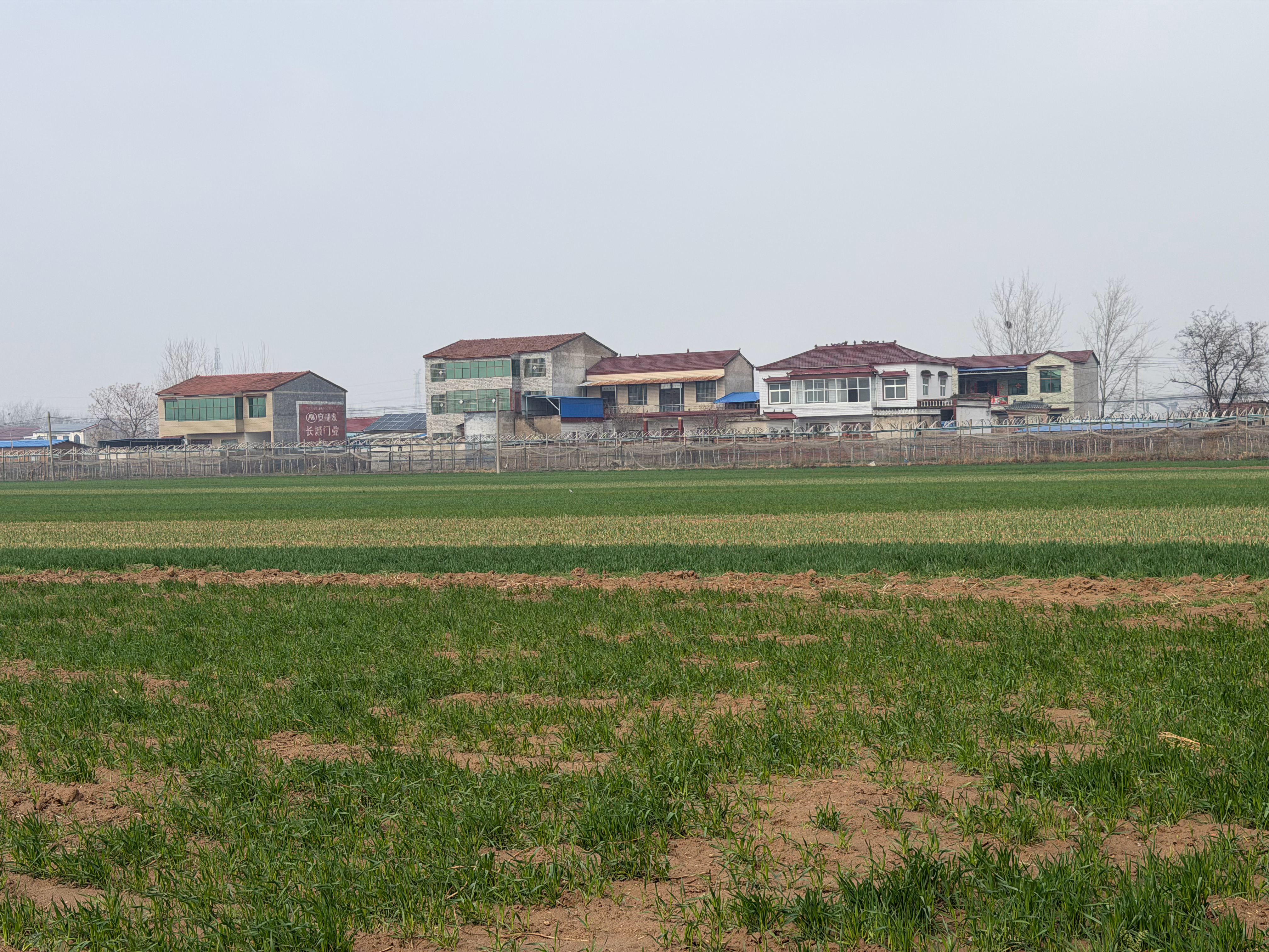 农村在以后会消失吗？现在我村里大部分是老人在住，农村空心化，挡不住的趋势，是不是