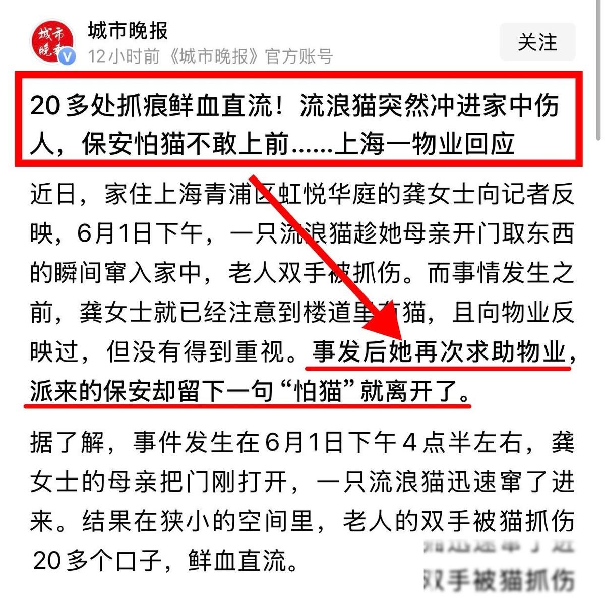 上海青浦区，一位小区保安以“怕猫”为理由拒绝帮助业主驱赶钻入室内的这只无主小动物