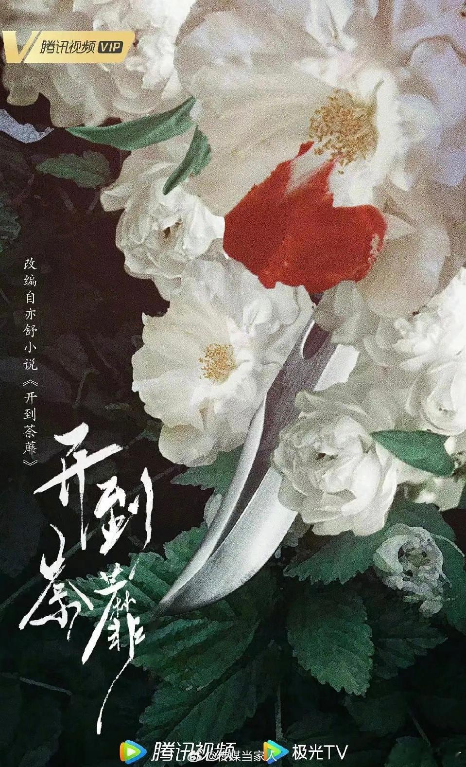 是我瞎了吗？这不是一朵荼蘼花么 荼蘼（tú mí，古作酴醾），中式古典里最具清冷
