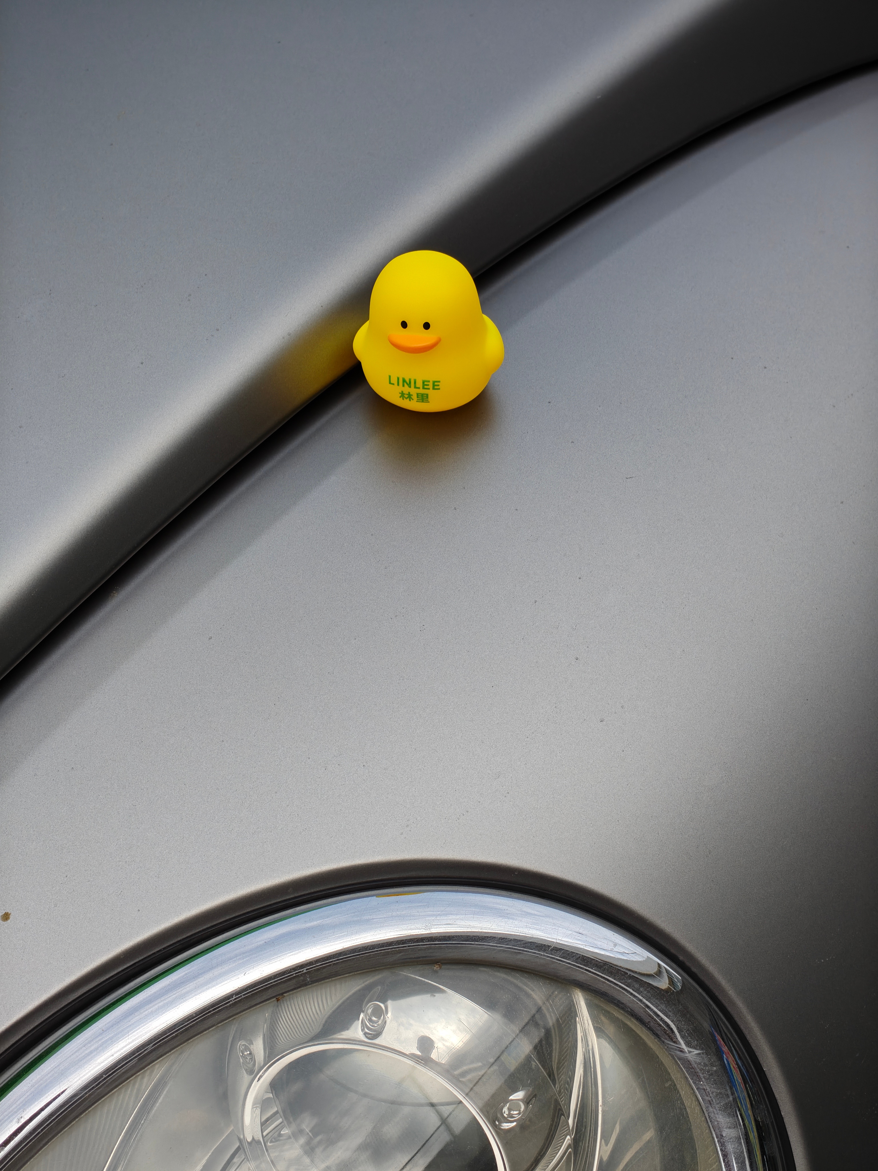 修车，遇到一只小可爱 