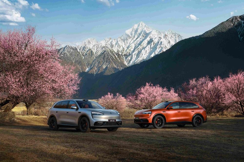 真的被惊艳到！无路灯路段被对向卡车远光灯晃眼，系统依然在盲区里精准识别斜躺黑狗，