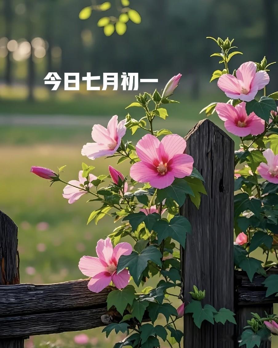 今日七月初一“地门开”, 提醒: 1不出、2要忌、3不晚, 4要吃, 别犯忌
 