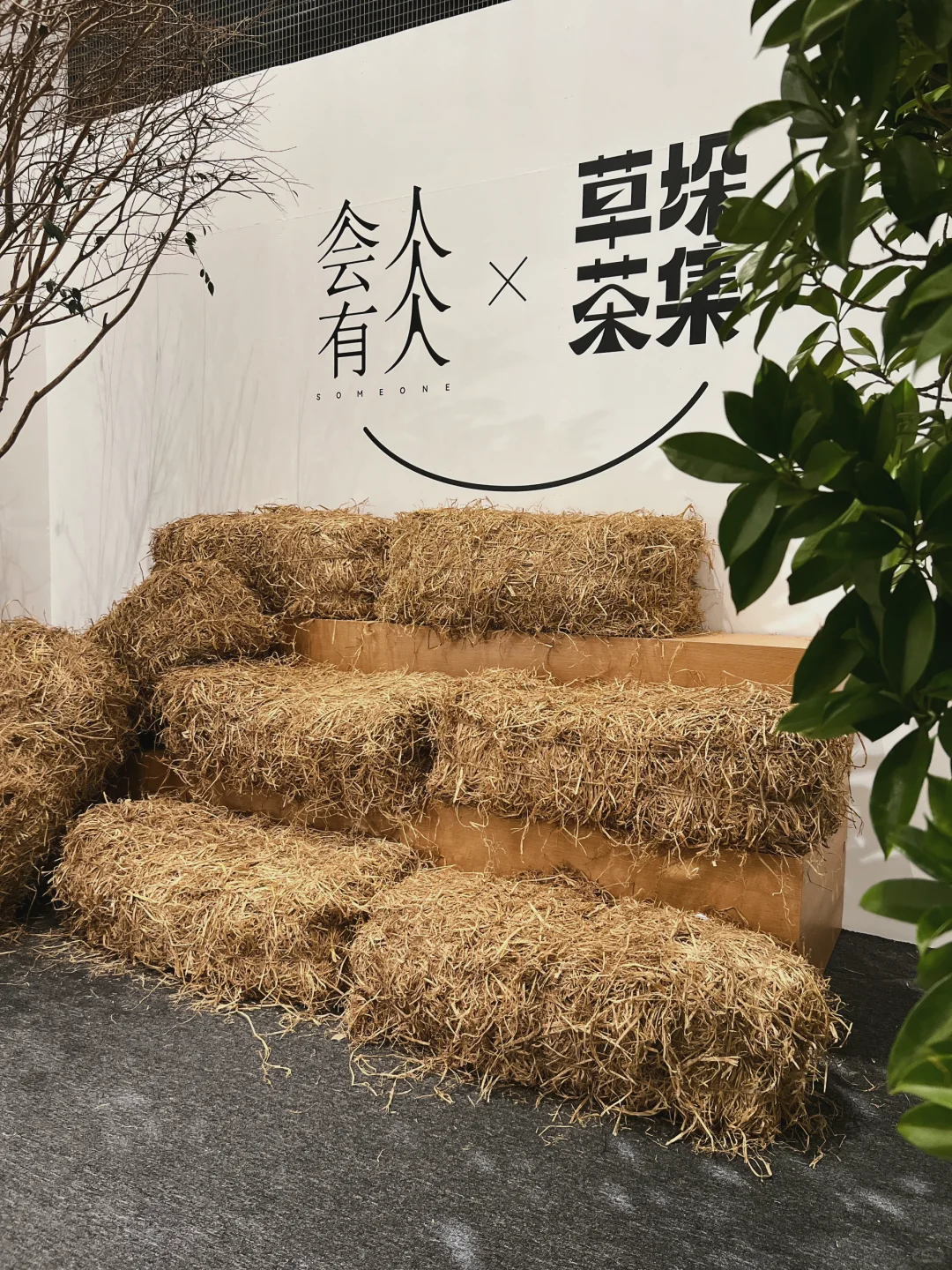 🌿深圳探展｜感受一场高颜值东方茶艺