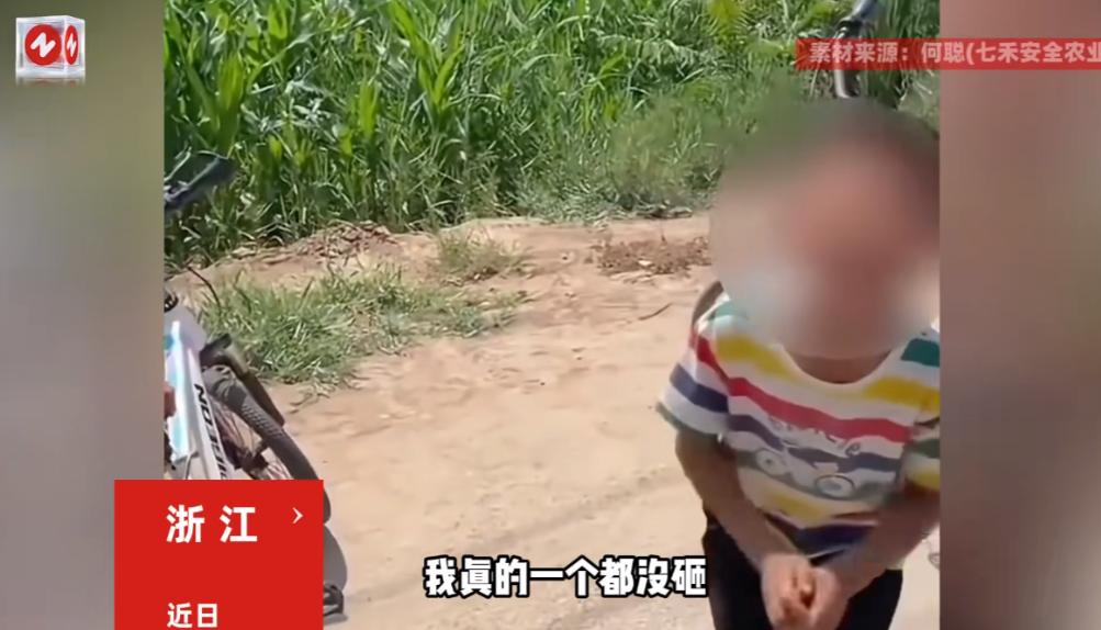 “这下后悔了吧！”近日，浙江，一群小男孩在瓜农的西瓜地里，把刚成熟的西瓜砸坏了好