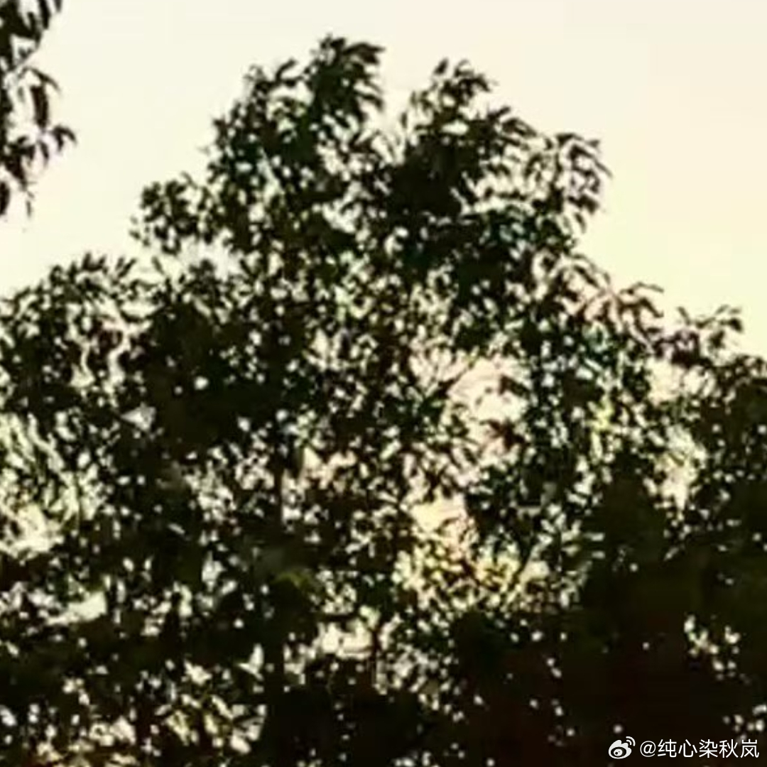 每日一善 每日一善阳光信用  生命不息，奋斗不止！只要相信，只要坚持，只要你真的