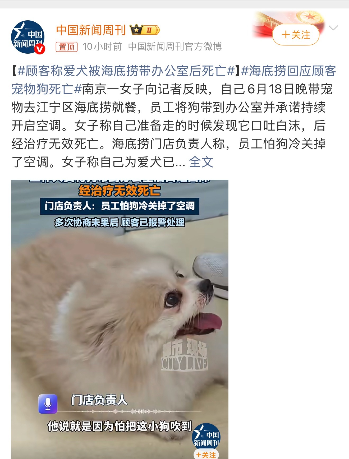 顾客称爱犬被海底捞带办公室后死亡只能说服务不是没有边界的讨好，而是能力范围内的负
