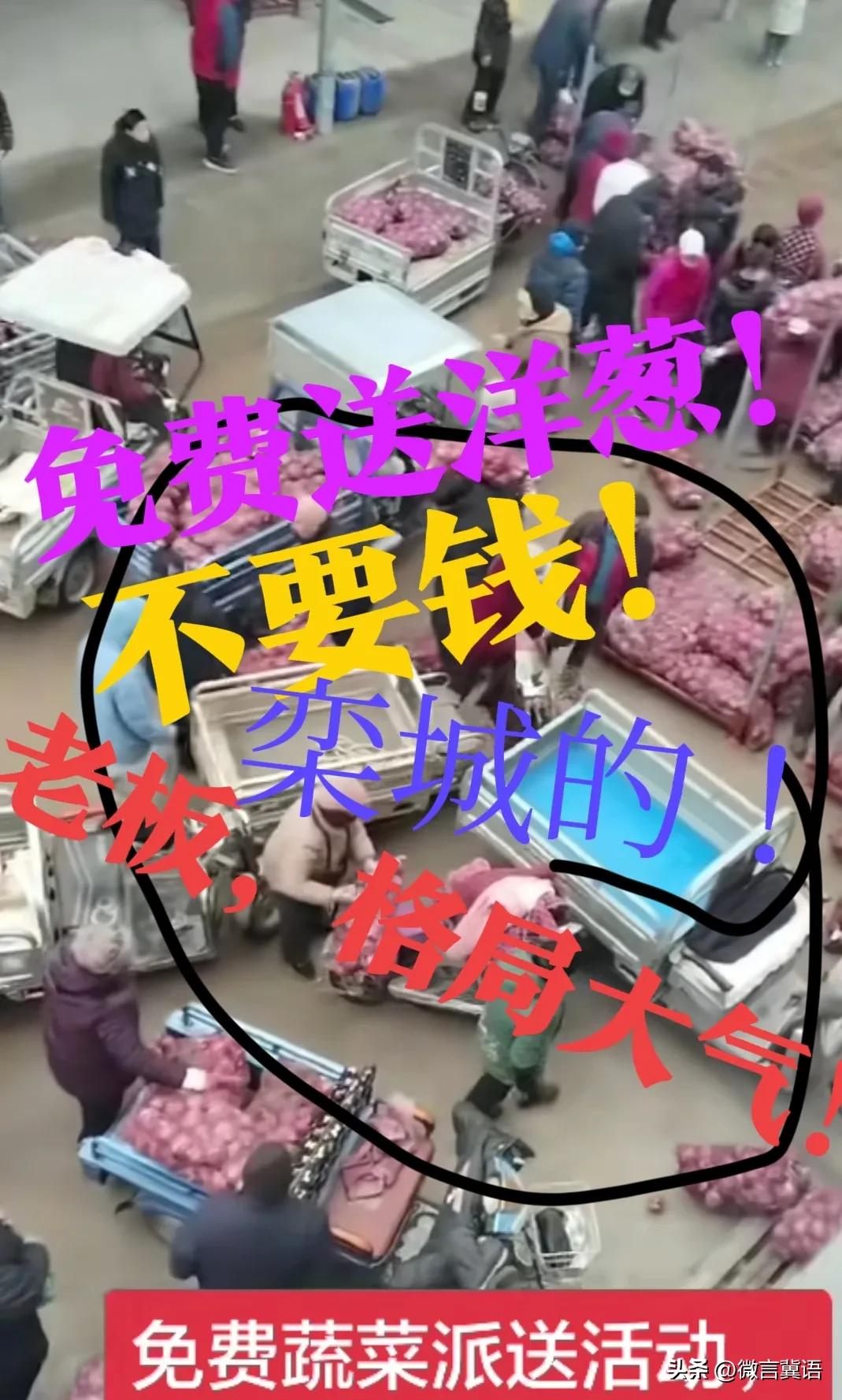 【免费！免费送洋葱！】重要的事情说三遍！免费送洋葱！不限数量！视频博主说，不要钱