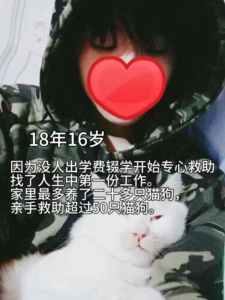 年度总结 这样看的话我的人生还是上坡路的 