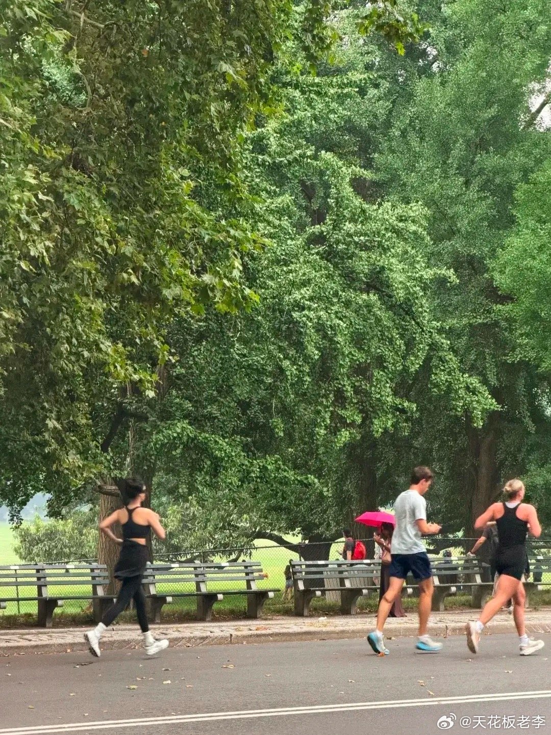 难怪杨紫现在的身材那么好，原来她是一有时间就运动、跑步啊！网友在纽约偶遇杨紫晨跑