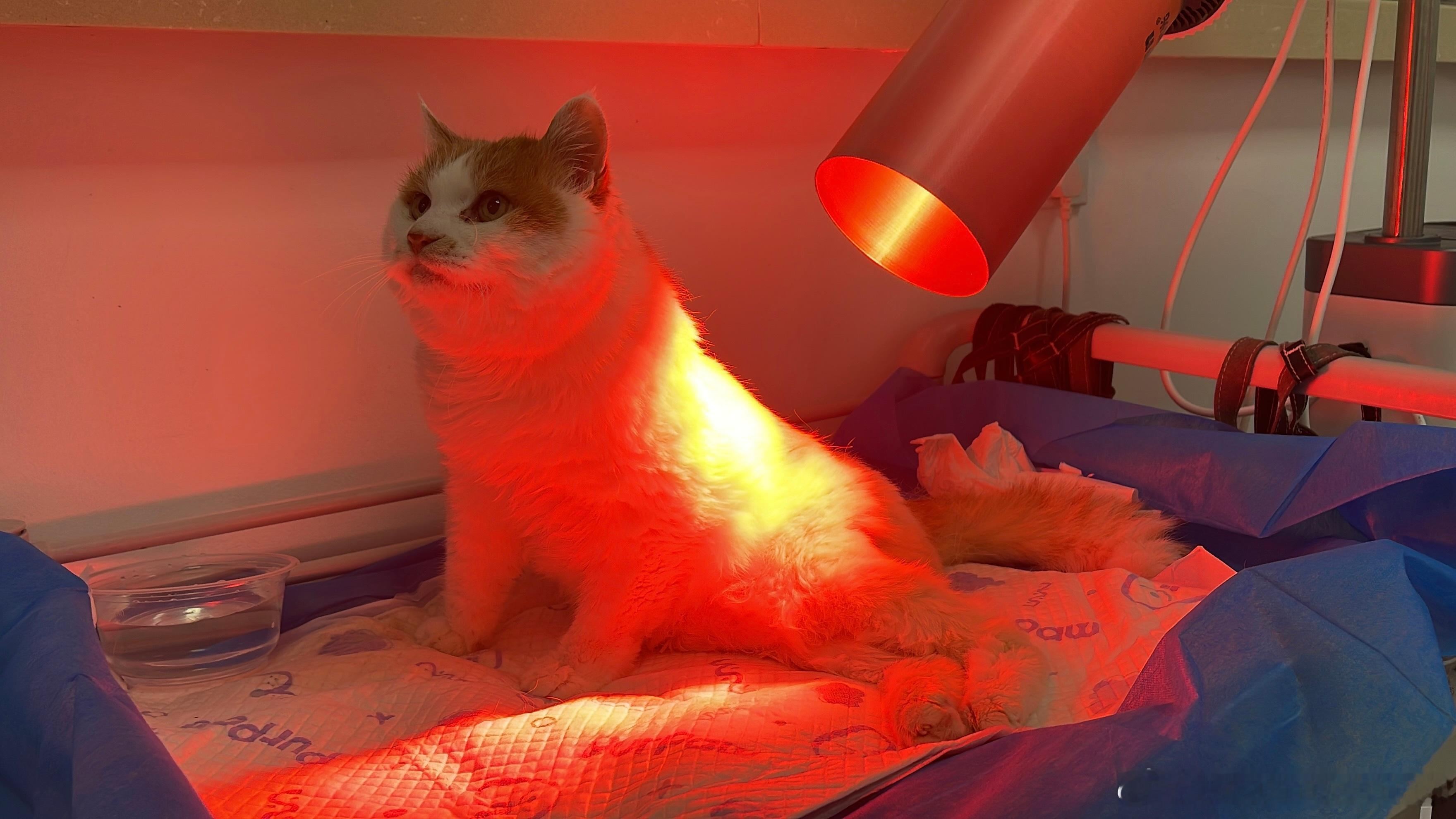 在我心里一直都是少年 