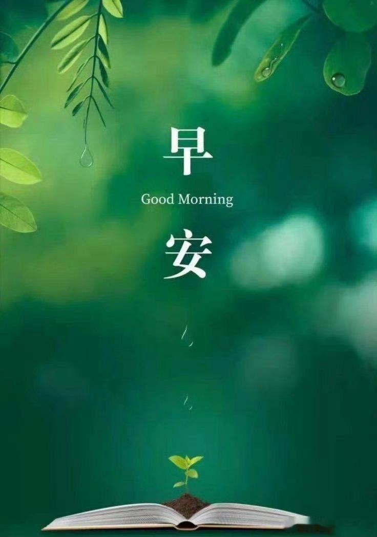 早安周三，依然阴雨连绵不要以你现在的能力来束缚对未来的想象这段话彻底杀死了我的精