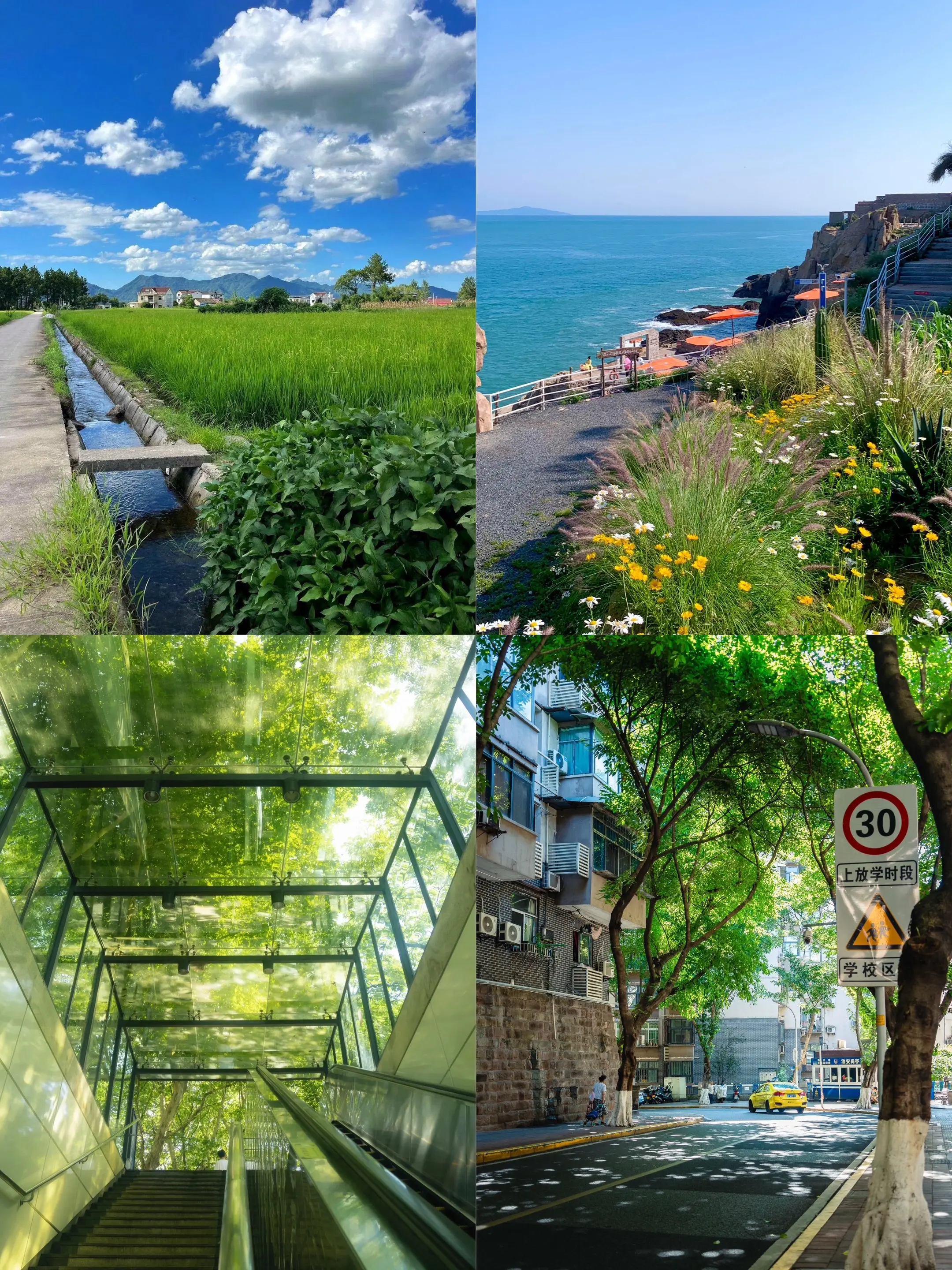 你最喜欢哪一年的夏天？