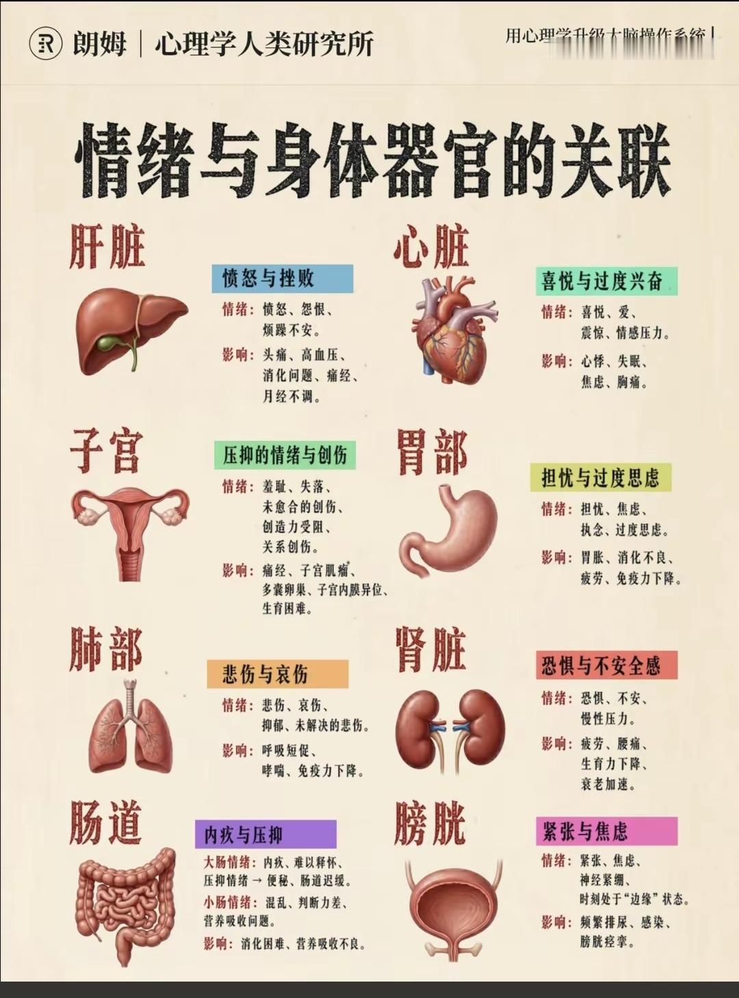 情绪，保护我们五脏最好的良药！
   现代医学证实情绪经神经-内分泌系统深度作用