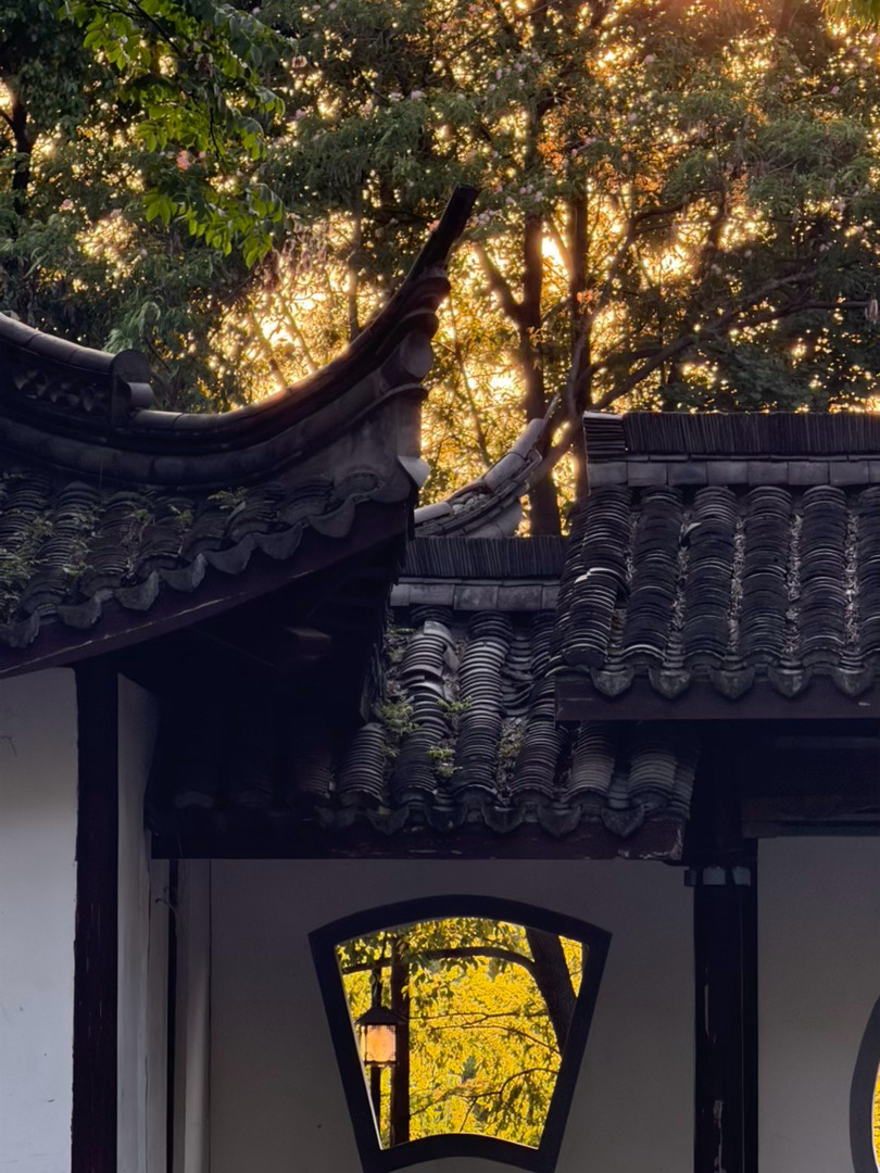 现在想起昨天都还是满满的幸福🥰一切都很完美在吊床上感受微风习习找个洗手间遇到波