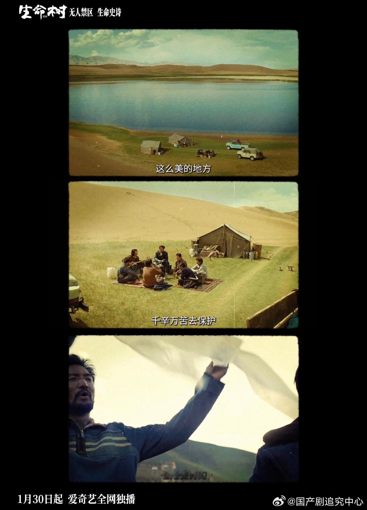 碰额头是比言语更郑重的叮嘱胡歌和杨紫塑造的这对师徒组真的太贴《生命树》的设定了，