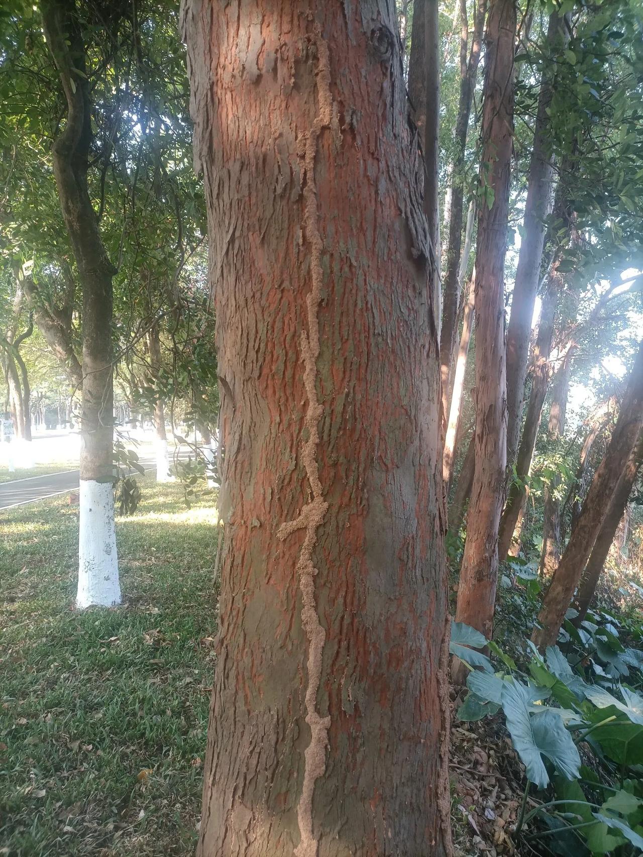 小物体蕴藏着巨大的的能量，先不说小物体突然发生湮灭，就会产生超级能量这事。就拿身