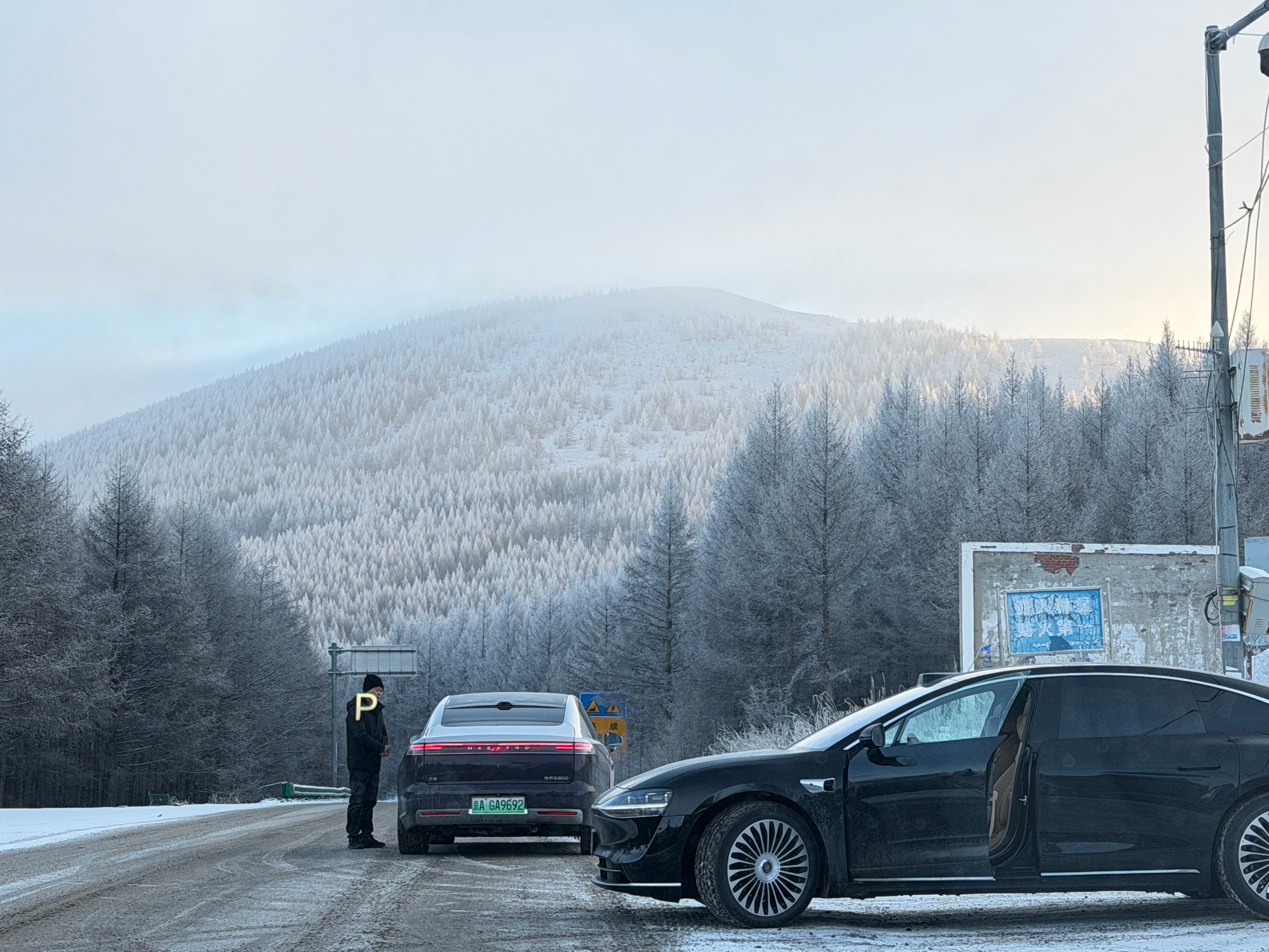 好美 张家口·桦皮岭