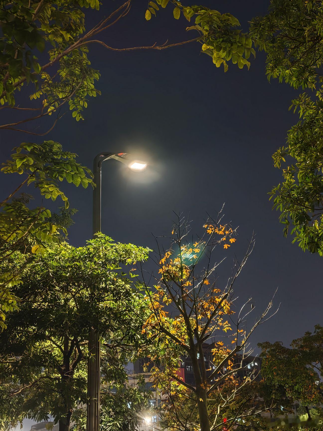 随手拍罢了，你有你的为难，我有我的失望权衡利弊是你的主场我玩不明白，入不了你的局