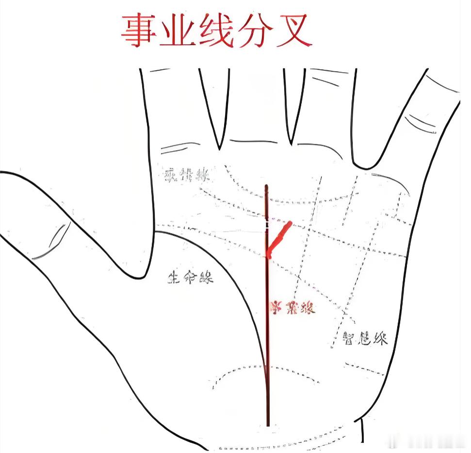 有异性会人来助的手:在事业线向上延伸，会在智慧线附近伸出很多清晰的叉纹，斜向无名