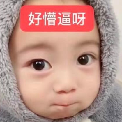 但是生命树的题材和班底本来就是冲奖去的 不是很明显吗 一直搁这说生命树小众没啥人