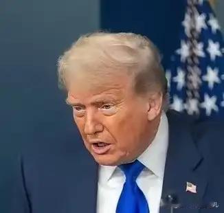 美对伊朗贸易伙伴征收25%关税特朗普一声令下就对伊朗贸易伙伴加征25%关税，还慌