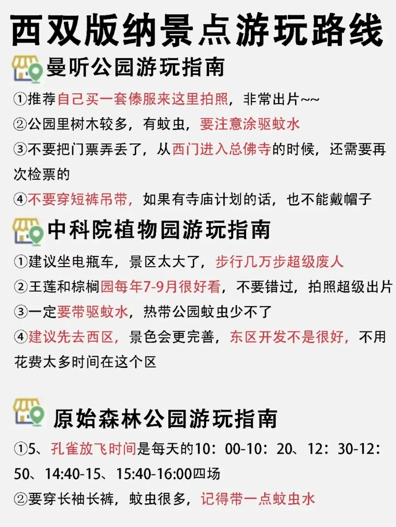 西双版纳刚回来，熬夜整理清晰攻略㊙️收藏