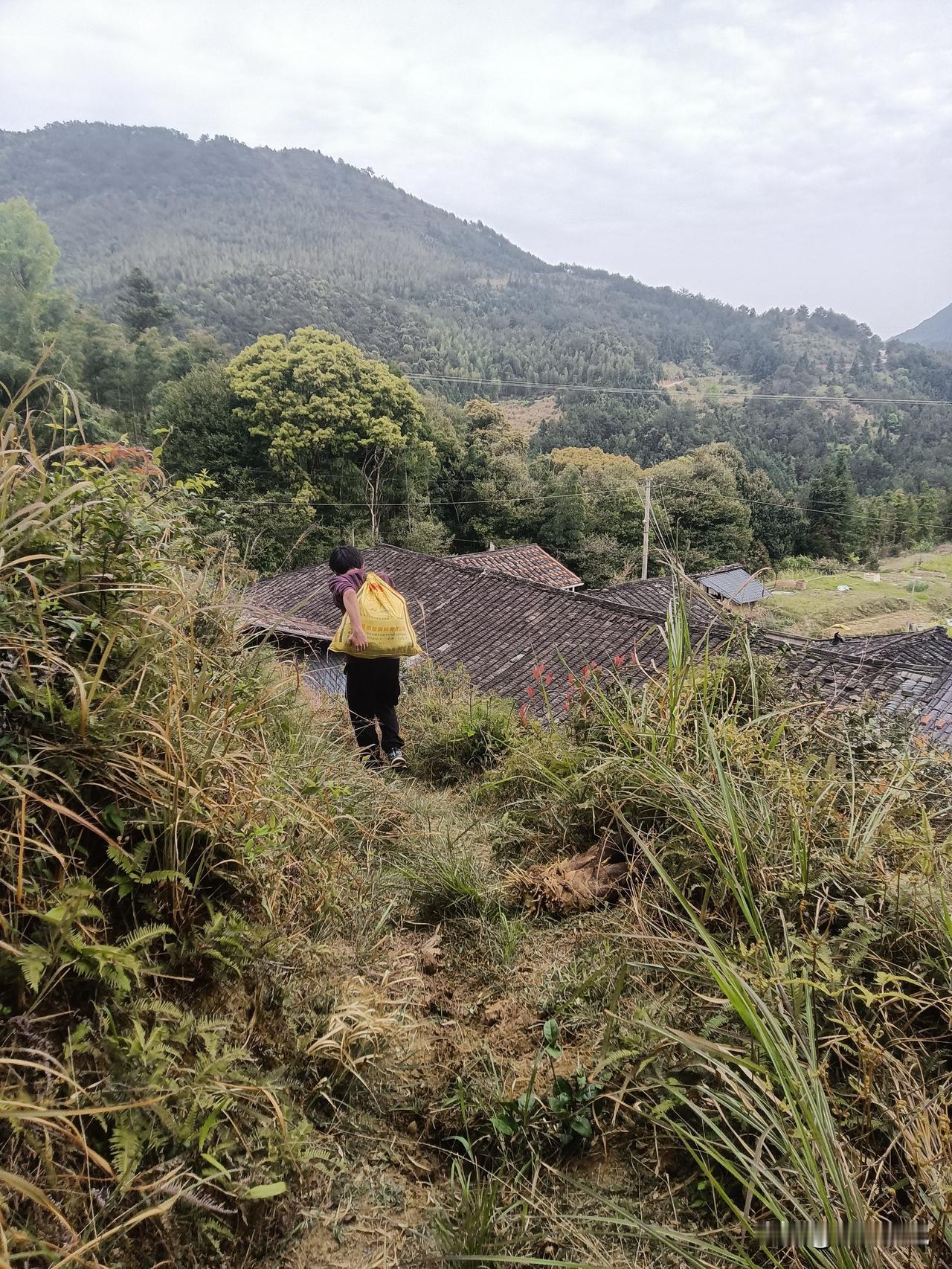 会，但会换一种活法去工作。
 
不缺钱，就不用为房租、房贷、人情、生存硬扛委屈；