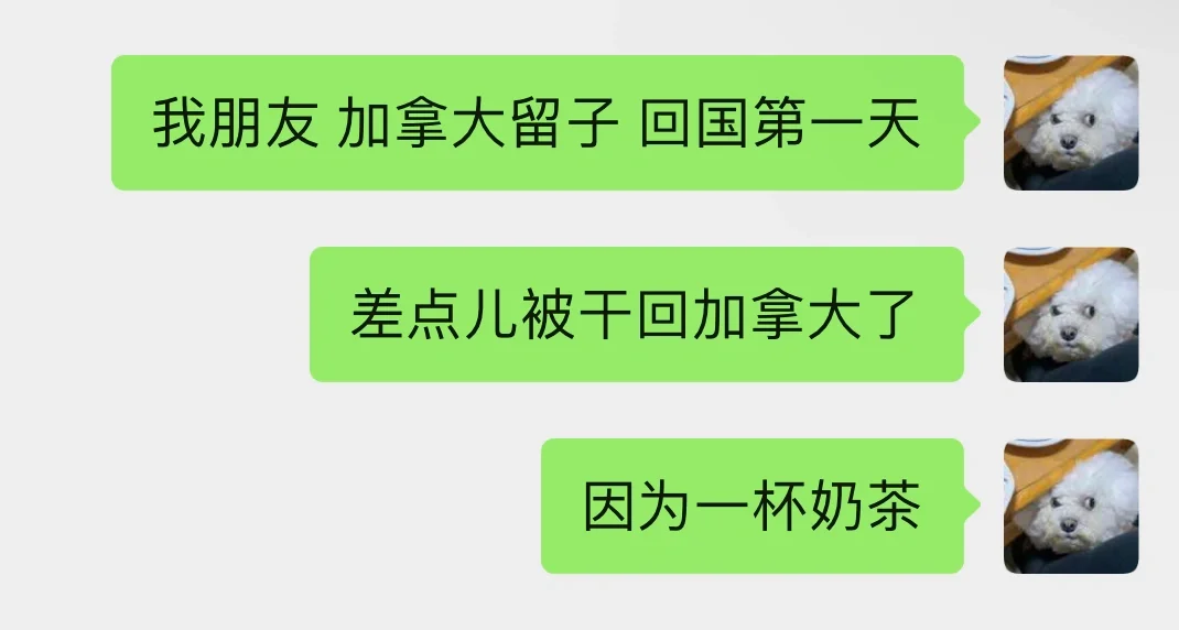 留子走过来 留子走过去
