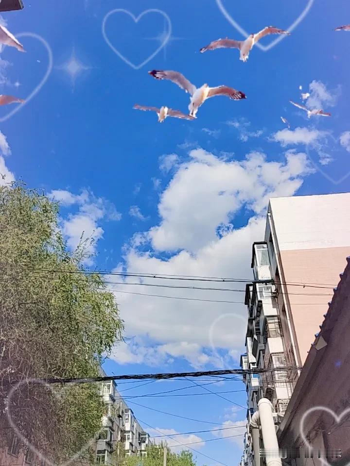 晒出你的本地生活