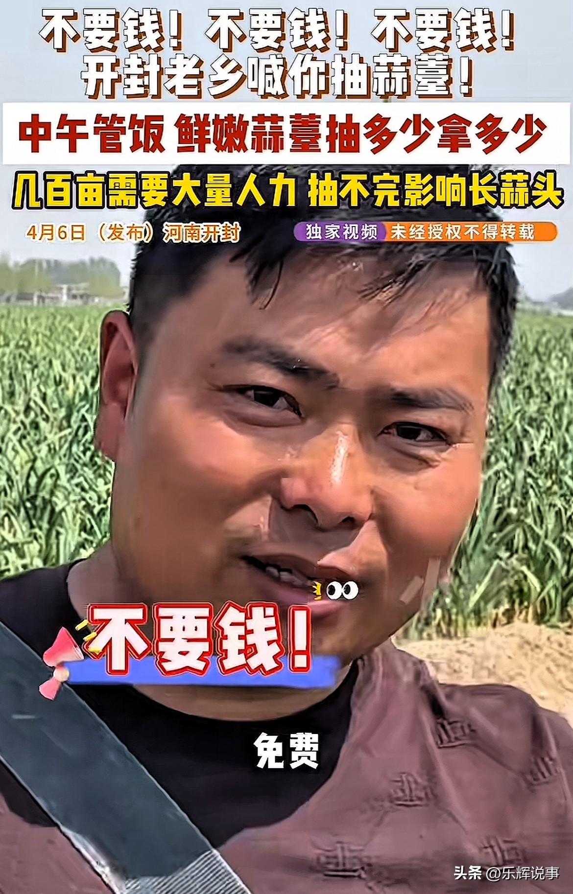 这老板真有头脑！河南开封，男子种了几百亩蒜薹，全网喊话：“免费抽蒜薹，中午还管饭