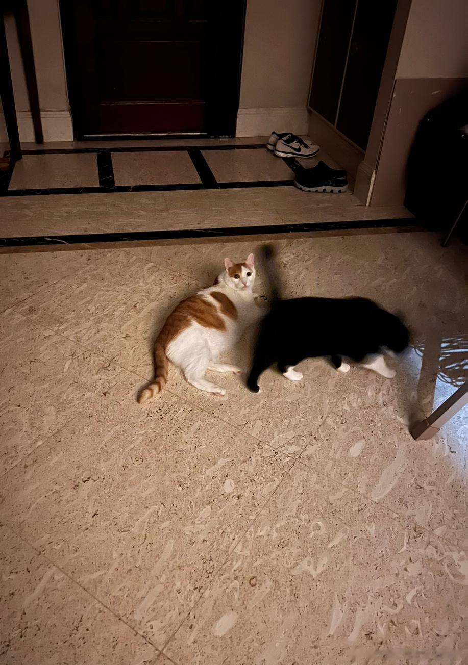 我真的，哭死！猴猴值大夜班，我儿媳妇去陪他，要不咱祝福吧，我明天就给我儿媳妇找户