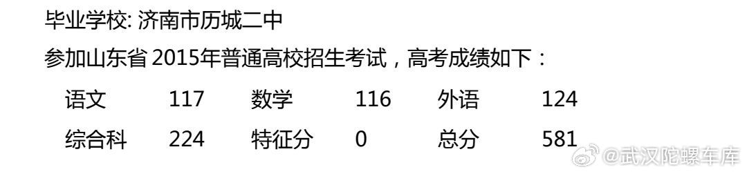 跟风查一下当年的高考成绩给母校丢脸了 属实不好意思 武汉