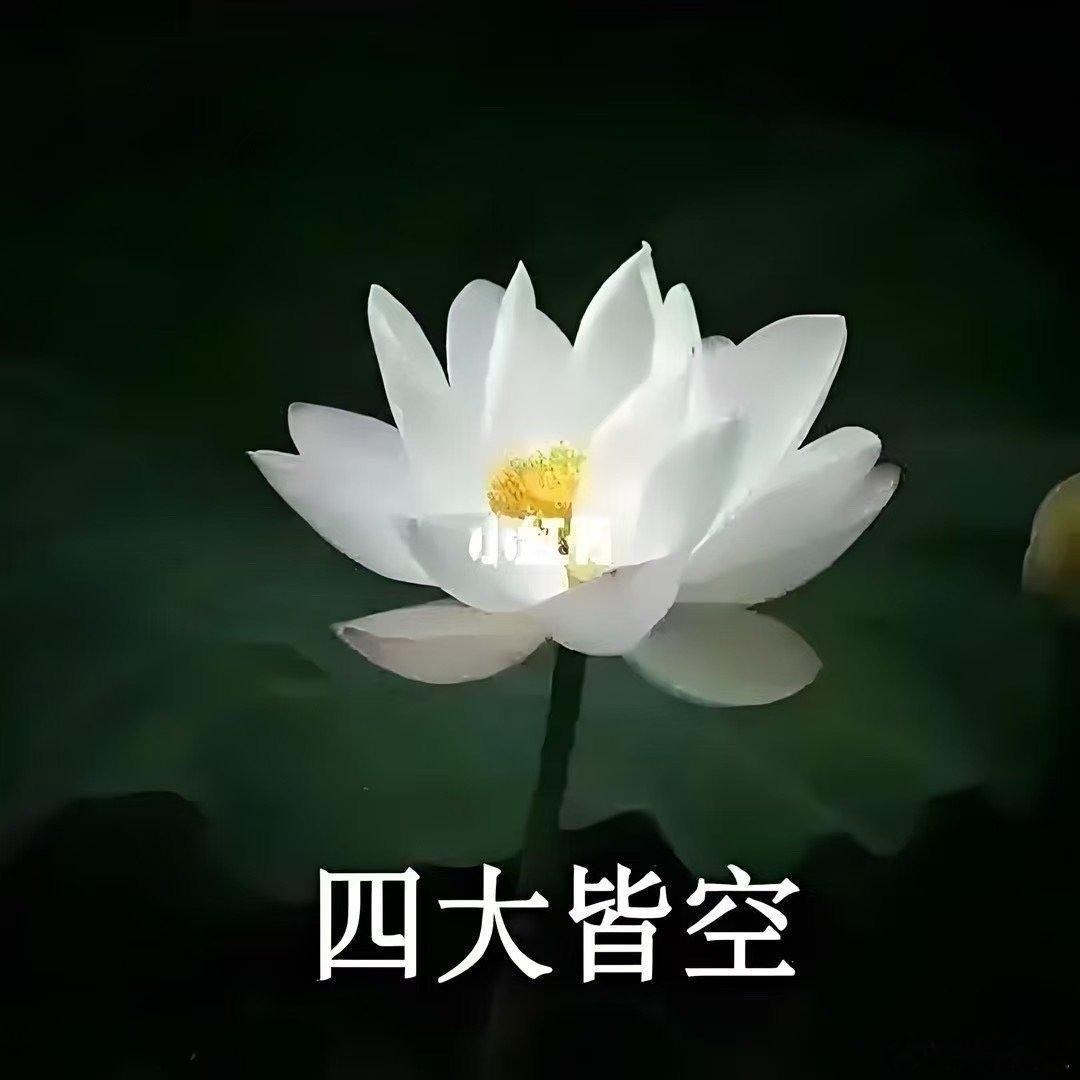以前因为工作关系接待过韩国客户，那老头一脸骄傲地说，他早餐要吃米饭，所以他的太太