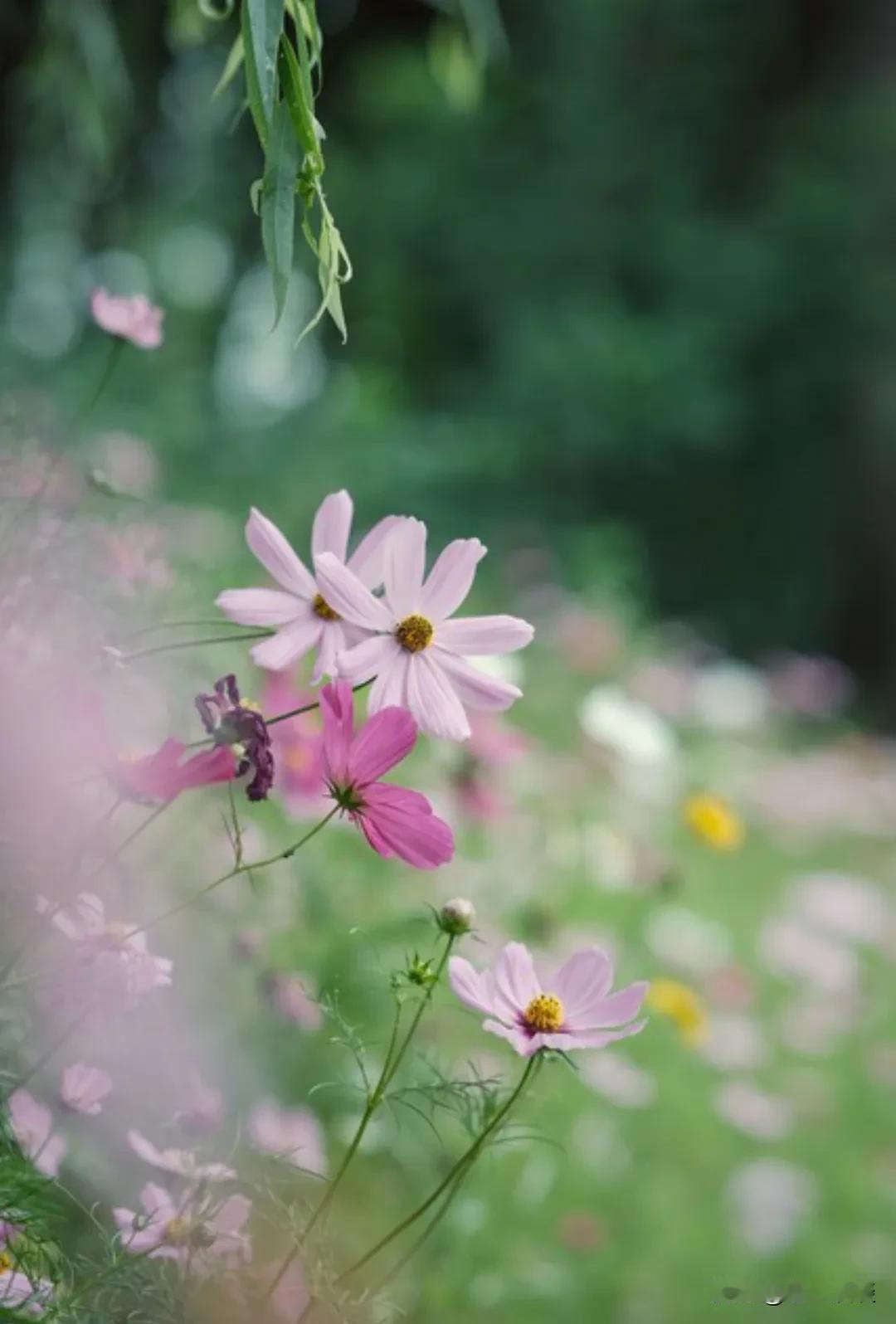 鲁迅说： “不管你有钱还是没钱，只要你能给一个女人足够的安全感和看到未来的希望，