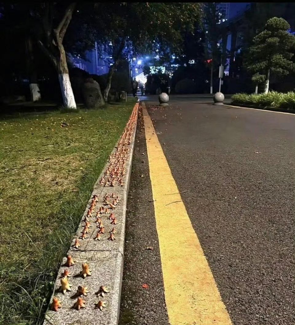 这人到底是多无聊 