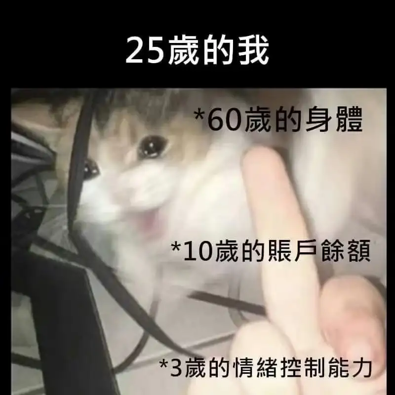 <img src=