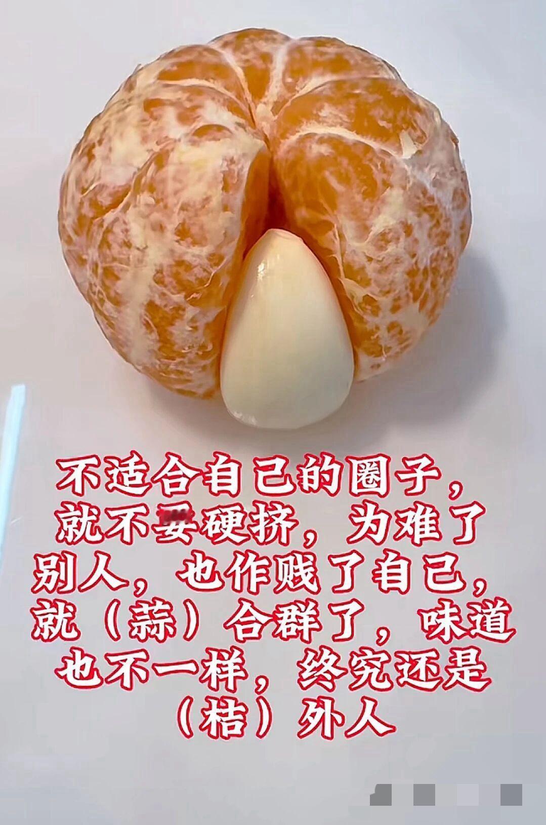 就“蒜”合群了，终究还是“桔”外人来来来，参与一下，在我的秘密花园，我要让你们有