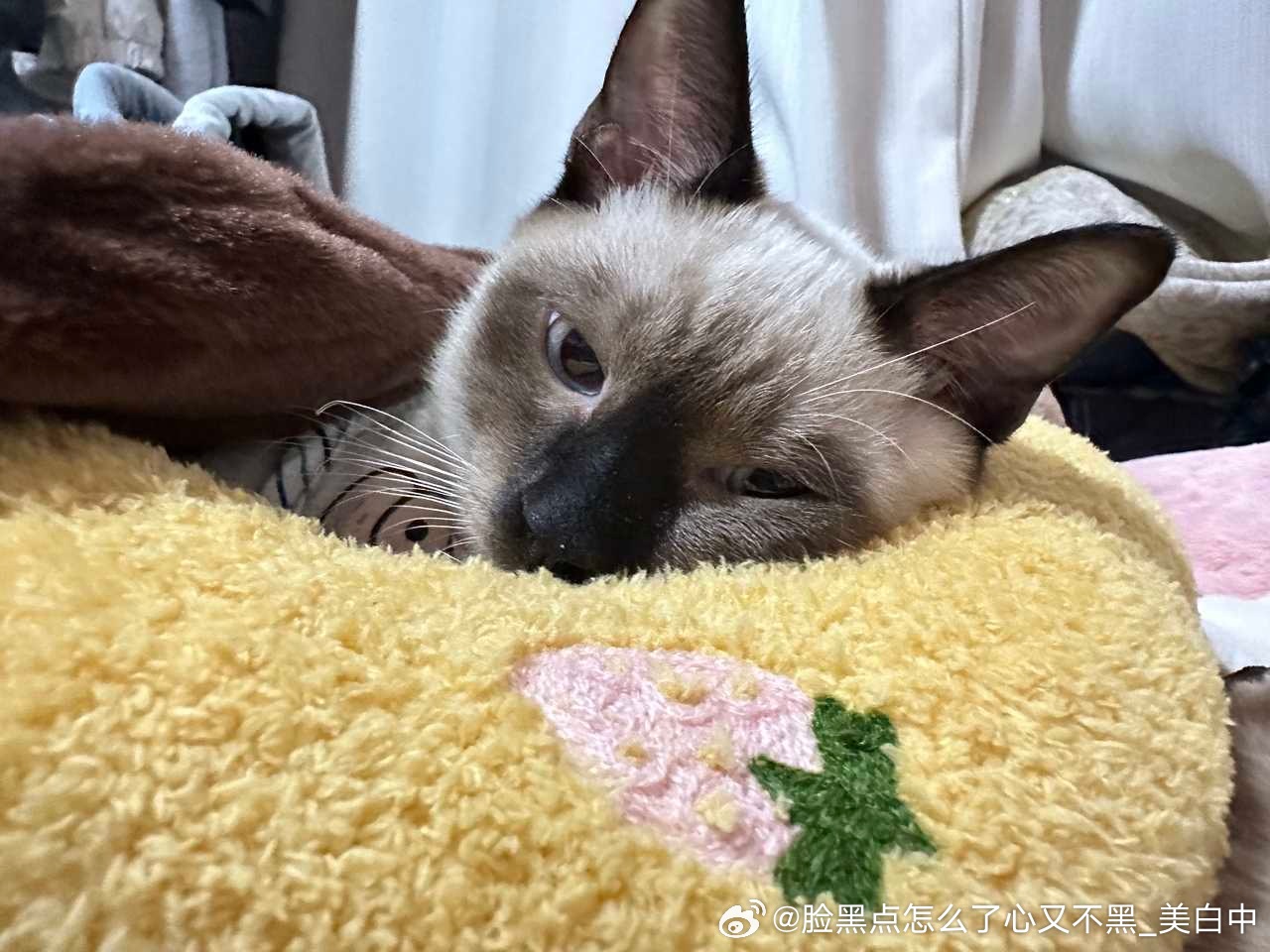 3965只黑脸我看伦敦未必有家逼忧郁 