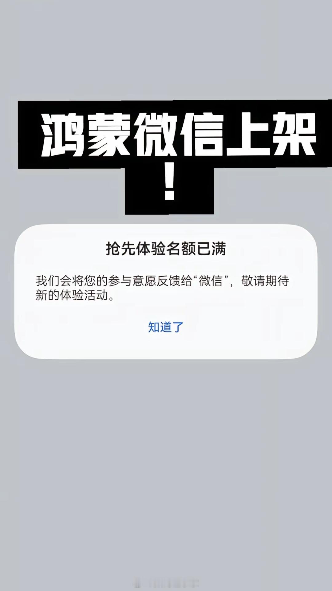 #鸿蒙版微信正式上架#抢先体验名额秒没[允悲]，看来会在华为Mate70系列新品
