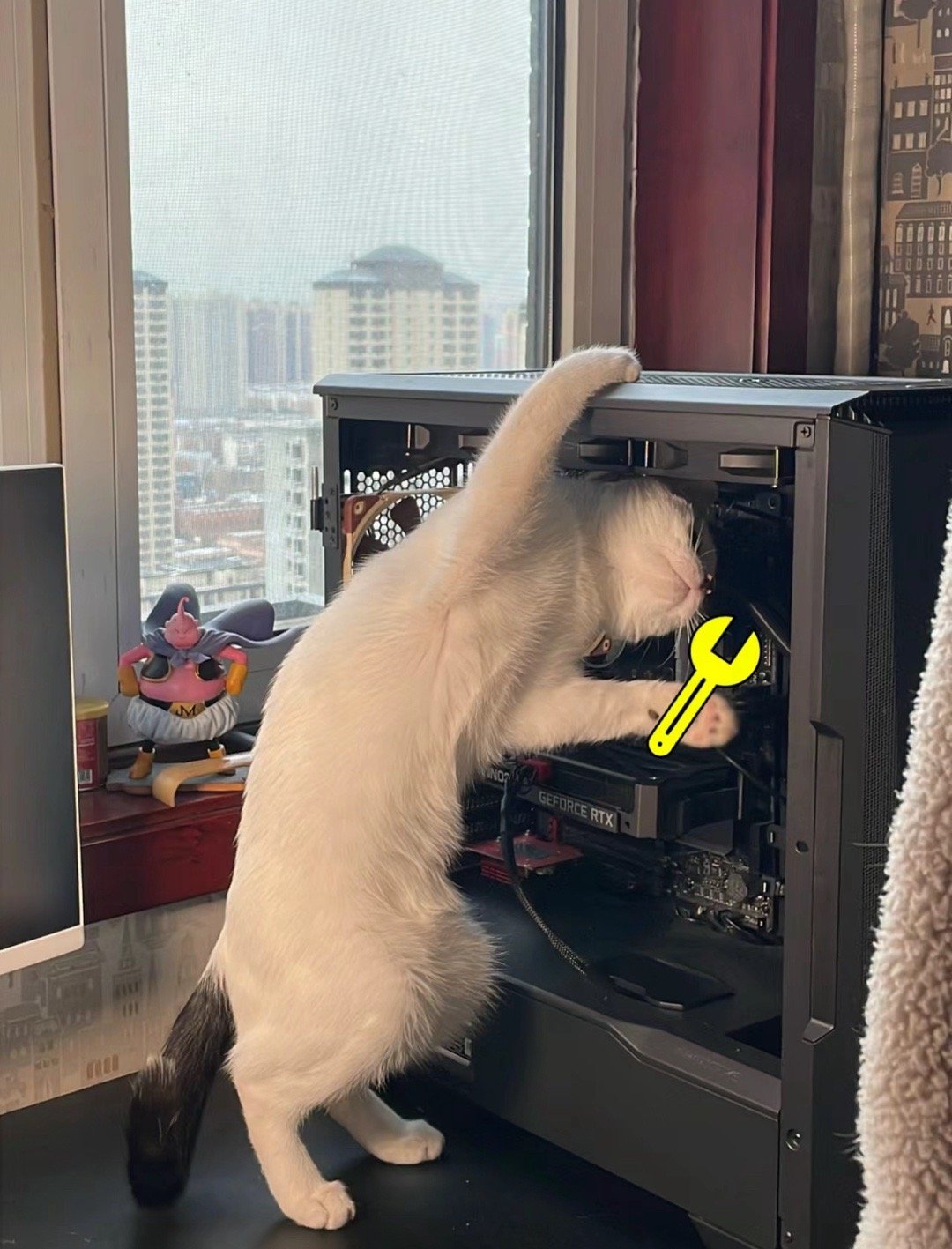 #你家猫咪是做什么工作的# 修电脑的 ​​​