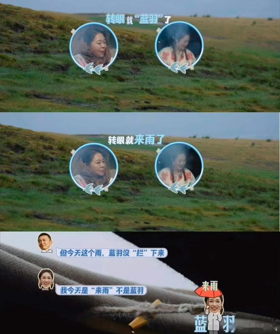 尼格买提说蓝羽没拦雨本来只是一个不起眼的小片段，没有华丽的镜头包装，靠着这个谐音