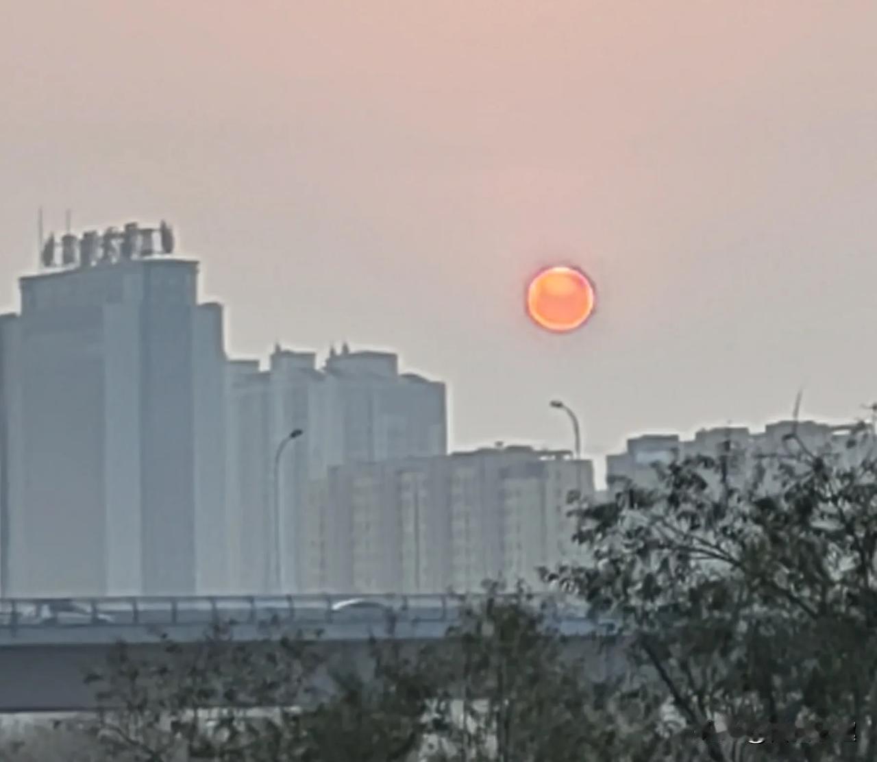 清晨的暖阳（手机随拍）
