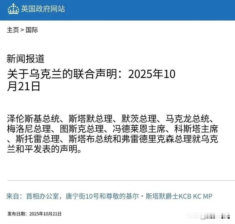 欧盟领导人支持特朗普提出的在乌克兰当前前线立即停火的提议。

乌克兰总统以及英国