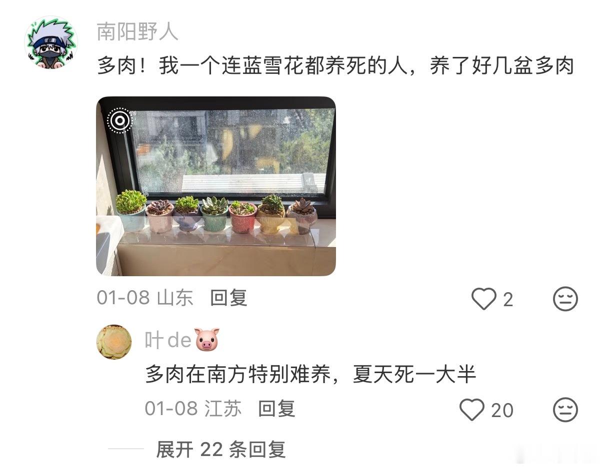 稍微照顾一下就能活的植物情感热点创作激励计划